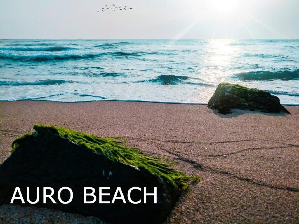 Pv Cottages Serenity Beach Puducherry Zewnętrze zdjęcie